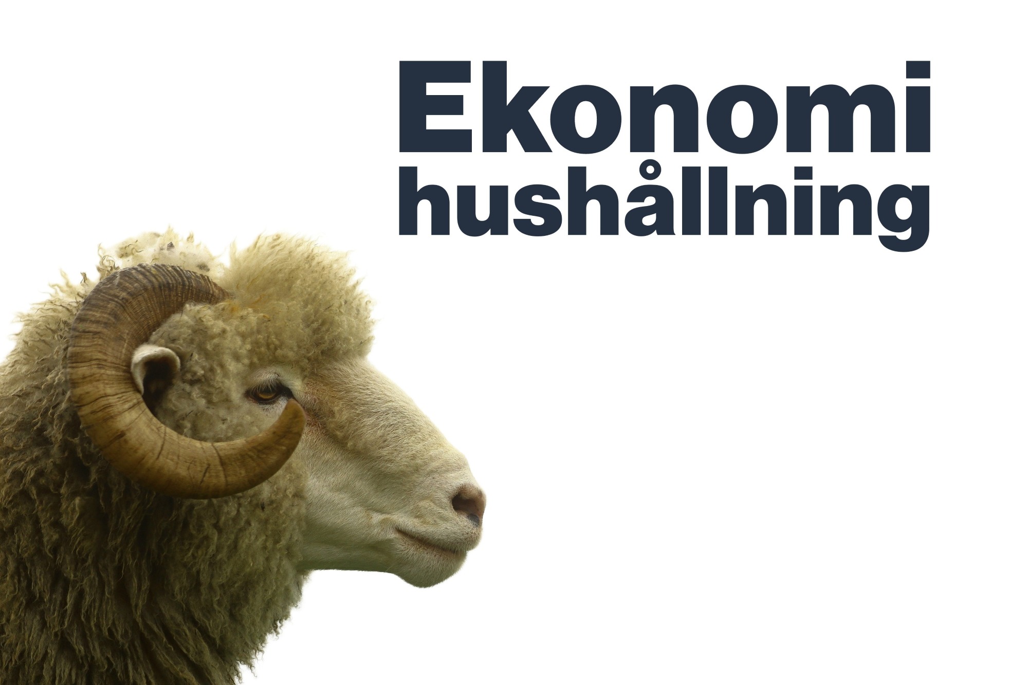 Ekonomi ordet betyder
