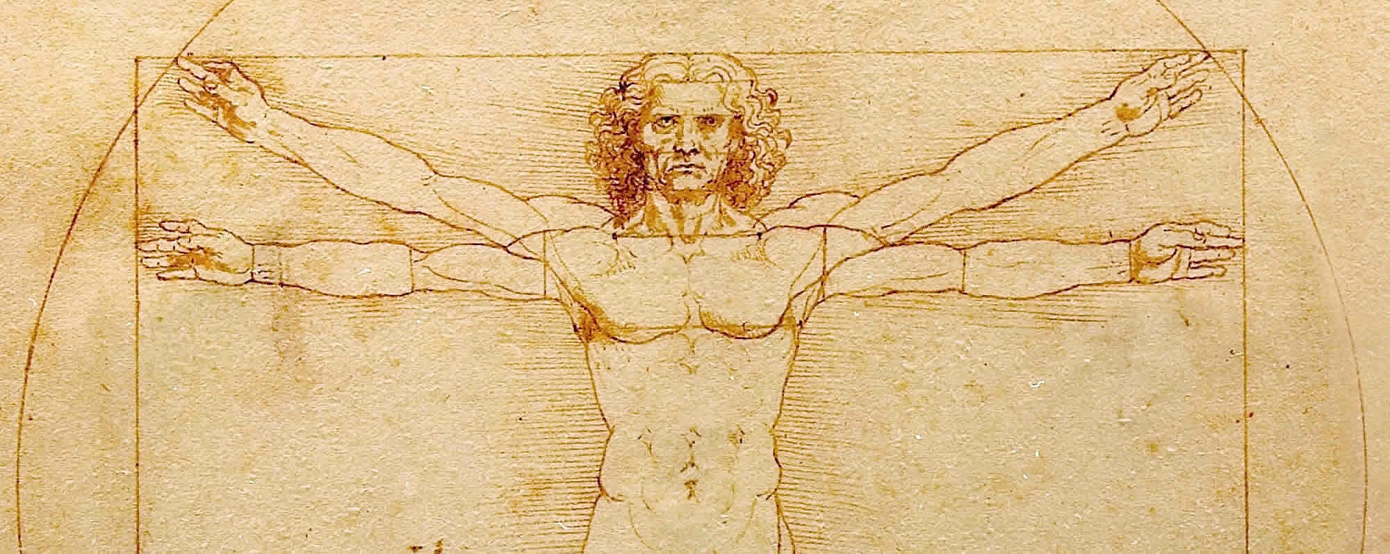 Supervizion förenar ekonomi, vetenskap och kultur; illustrerat med Vitruvianske mannen av Leonardo da Vinci.